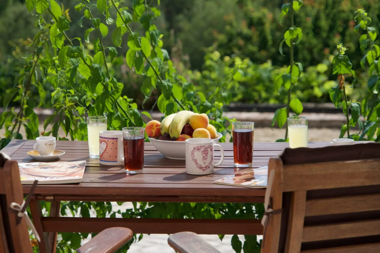 Breakfast in the garden